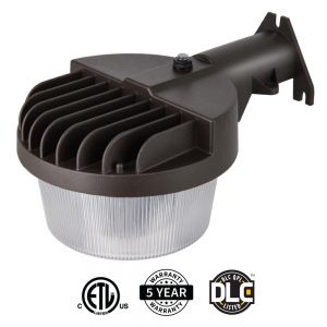 Radiant Lite Dusk to Dawn Light