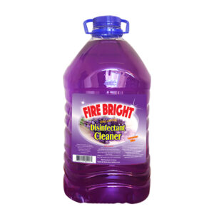 Disinfectant 1Gal