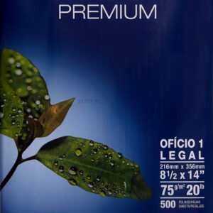 Report Copy Paper Legal Size