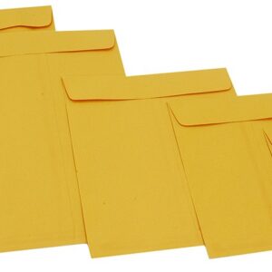Manilla Envelopes